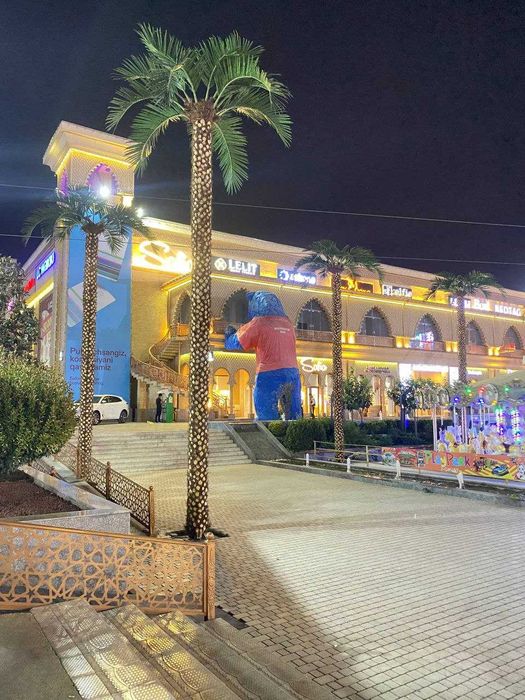 Eco Palma Restoran, mehmonxona va savdo markazlari uchun palmalar