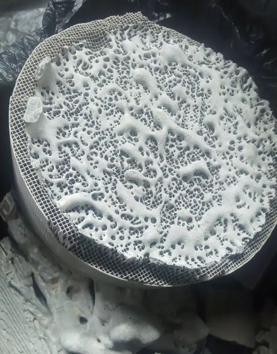 Катализатор приёмка 24/7