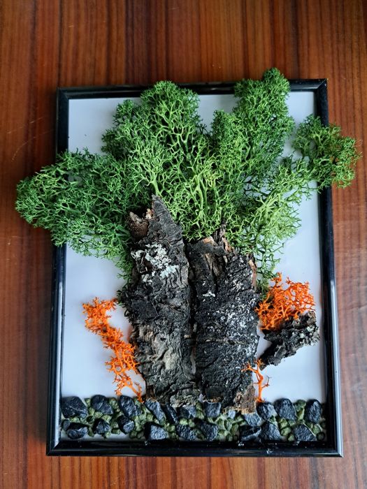 Абстрактни 3D картини