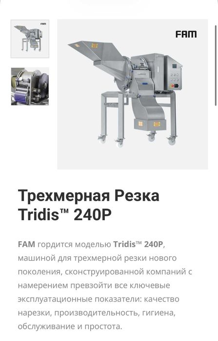 Овощерезательная машина FAM