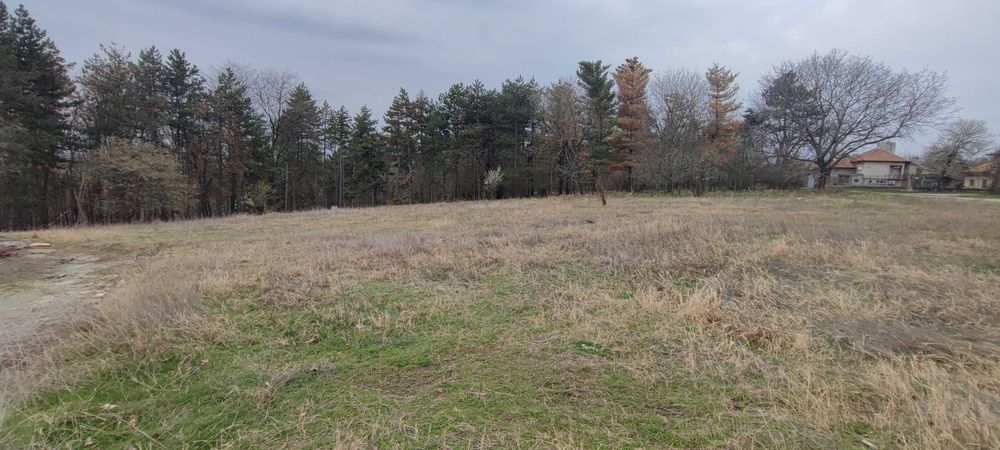 Продава се Парцел в Две могили - 6000 кв.м за 5 €/кв.м - Снимка #2