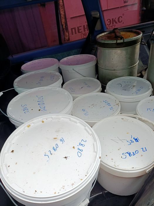 Продам мёд разнотравье