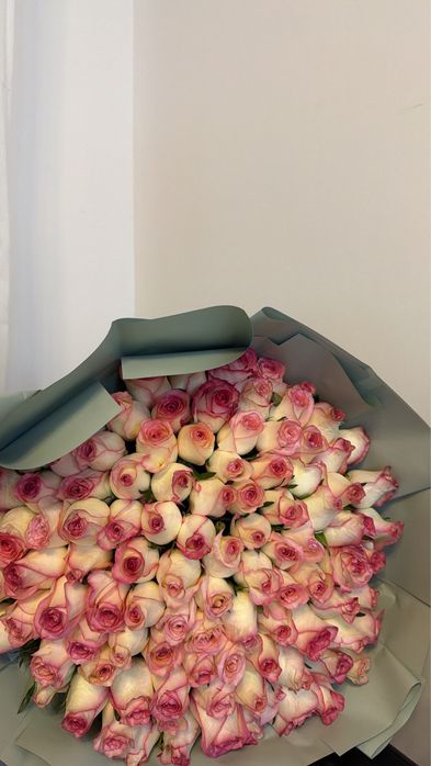 Роза 101 продается срочно