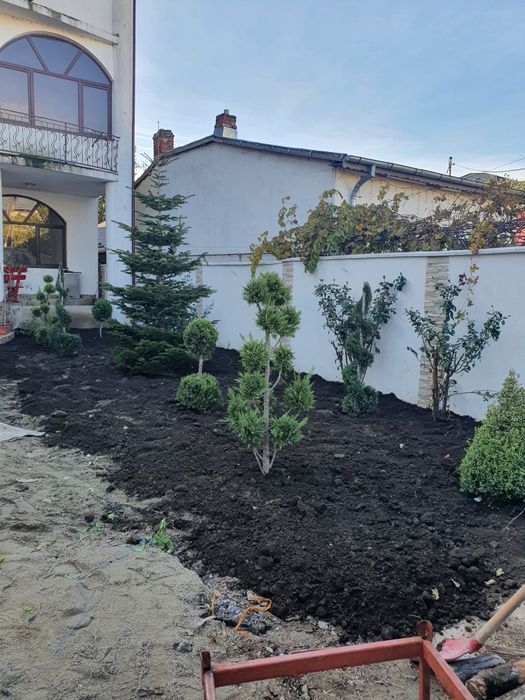 Peisagistică amenajări grădini șpați verzi