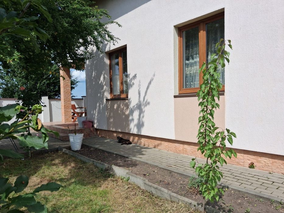 Casa de Vânzare Drumul Petrestiului