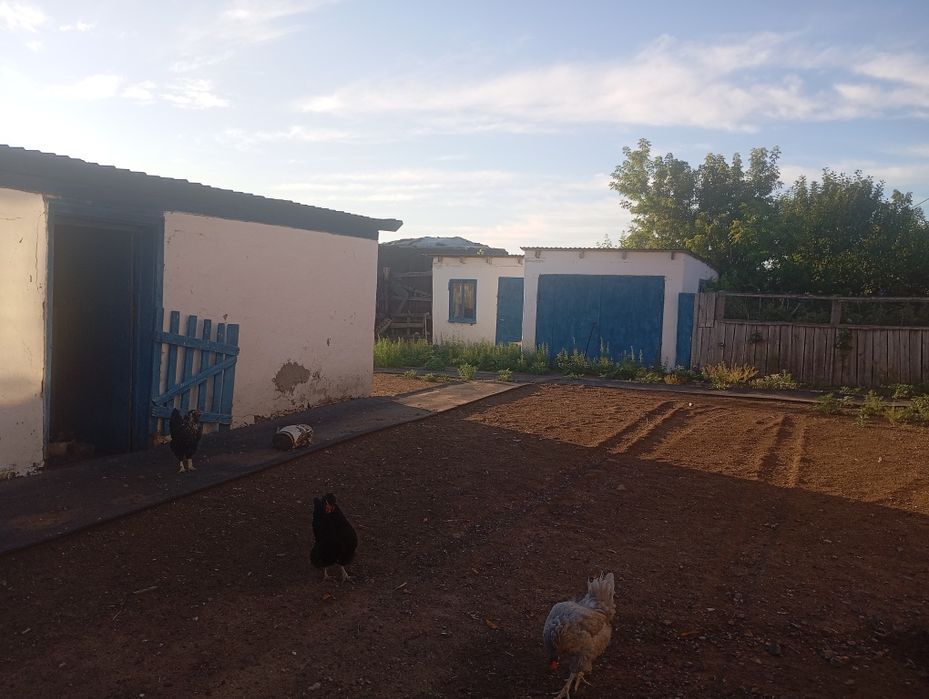 Продаю дом, в пригороде Астаны