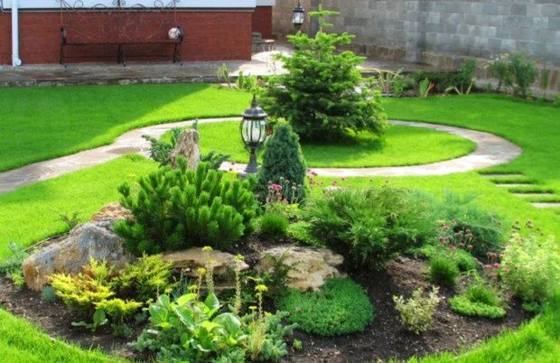 Рулонные газоны + посев семена. Из первых рук.