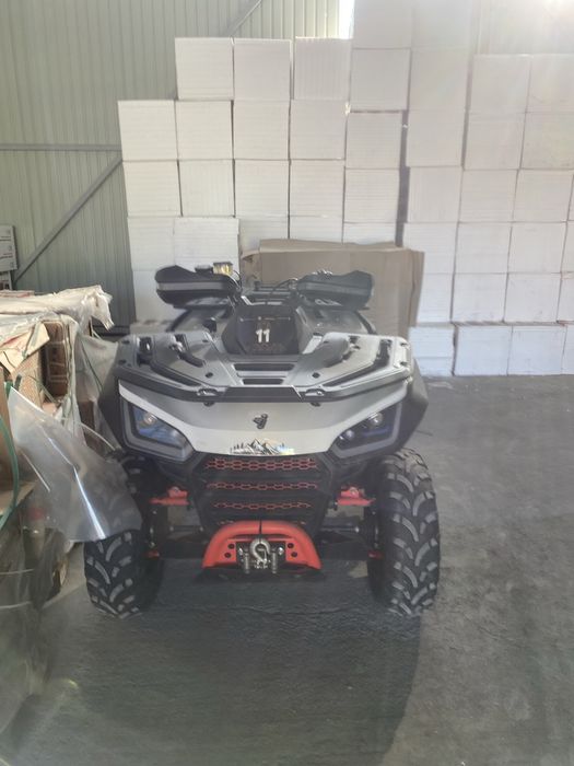 ATV Segway Snarler AT6 L