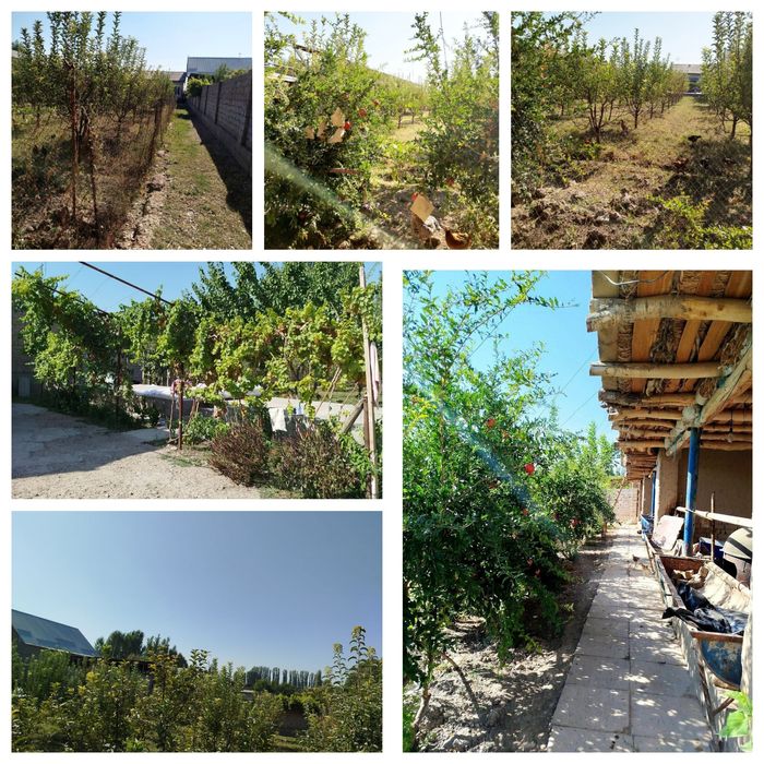 Ховли уй сотилади 15 сутих 4-хонали. Тошкент вилоят Урта Чирчик