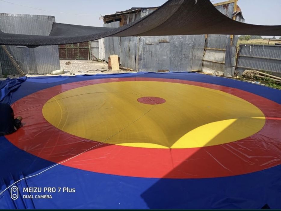 Борцовский ковер