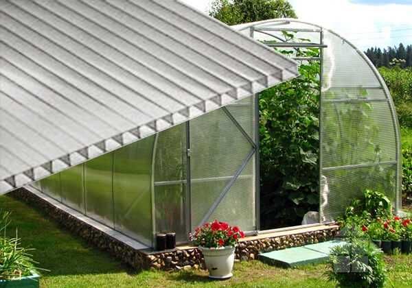 Поликарбонат для теплиц — эконом-сегмент, отличное качество