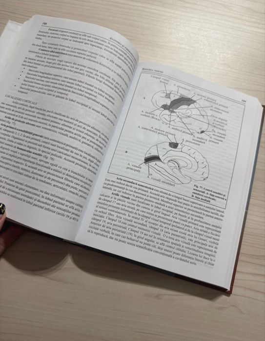 Anatomia si fiziologia omului compendiu