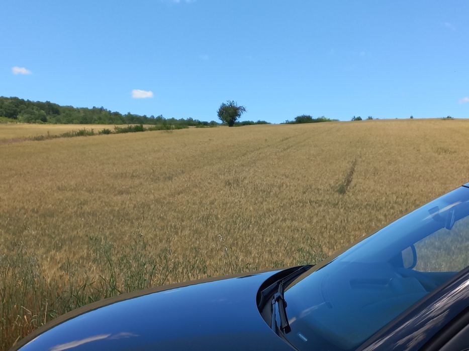 1,7 ha de teren, expunere sud,  pentru casă în livadă