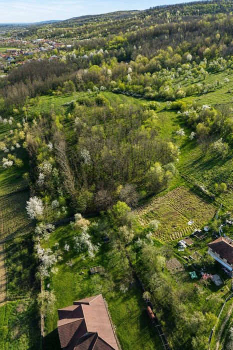 Proprietate rară: vilă cu teren de 5.000 mp, lângă pădure – Bărbătești, Gorj