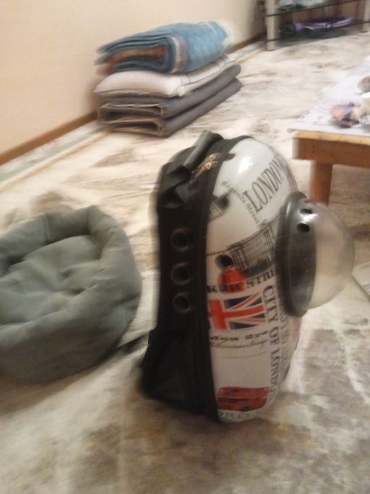 Продом все для кошек