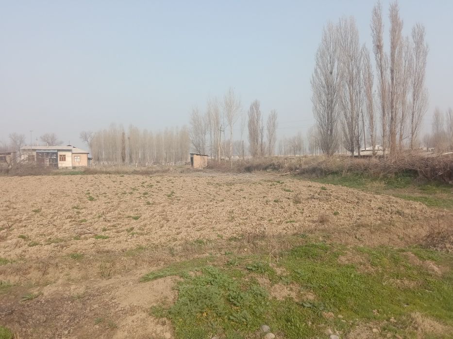 Курик йер 8 сотих сотилади