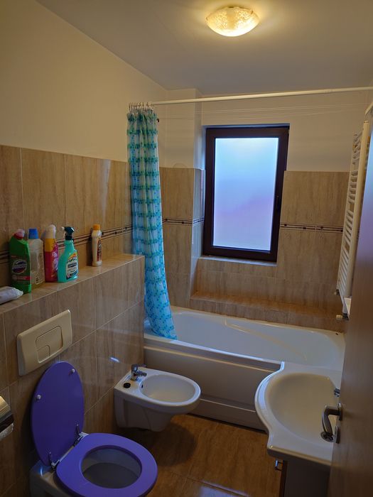 Proprietar, inchiriez apartament 1 camera zona Dambovita