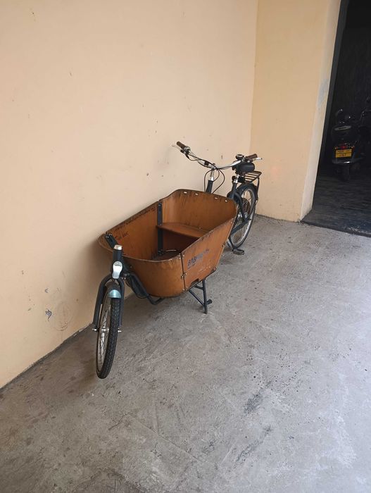 Bicicletă cu coș