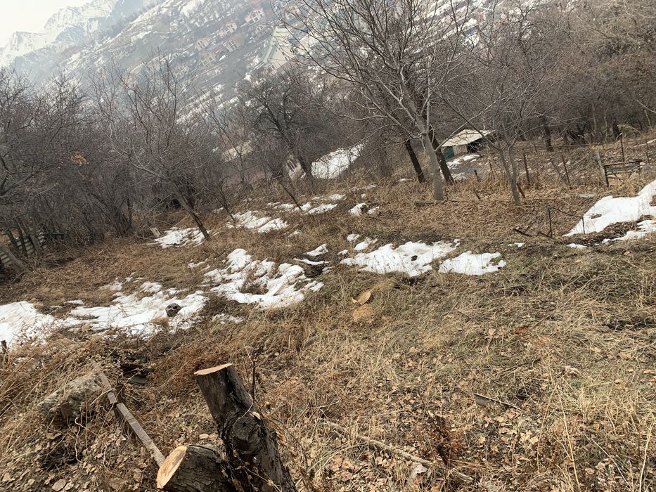 Продается дача или участок