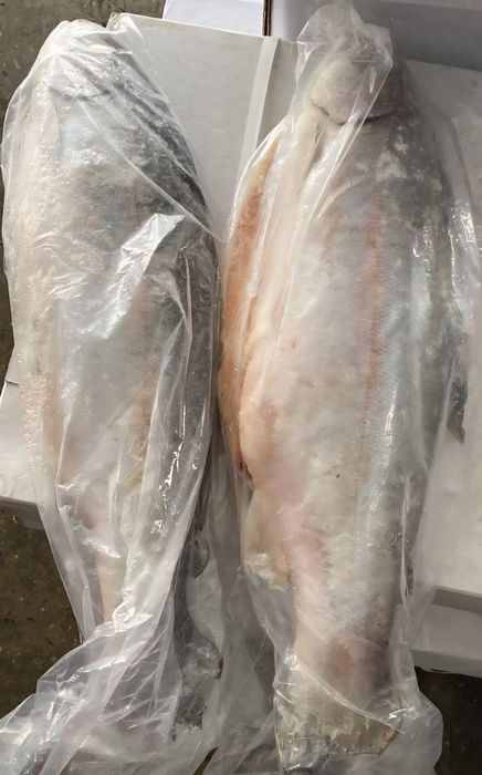 Форель Норвегия 3-4 кг