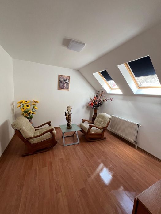 Spații comerciale și un apartament.