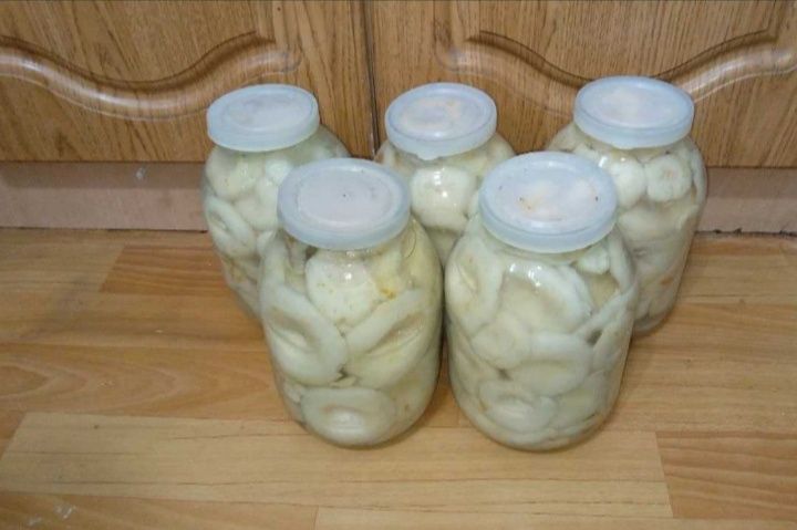 Грузди, лесички по 2000тг