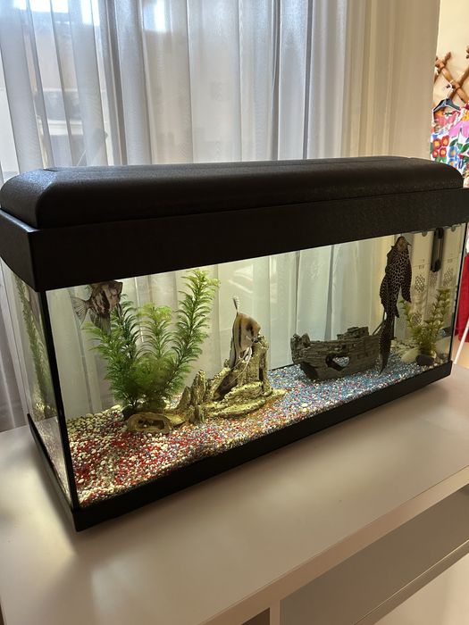 Acvariu 100 l complet