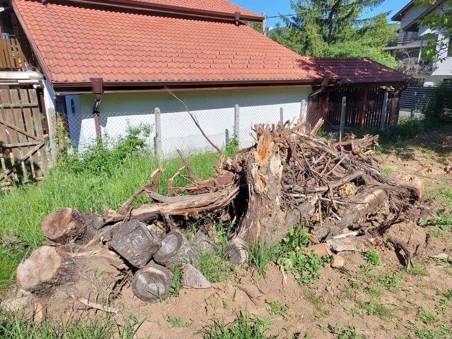 Продавам Дърва за огрев