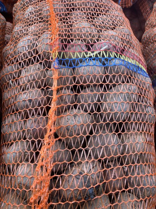 Samânță cartofi Bella Rossa