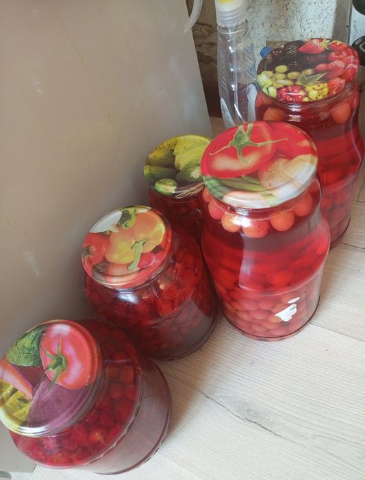 Продам  Домашнию Сливу Яблоки