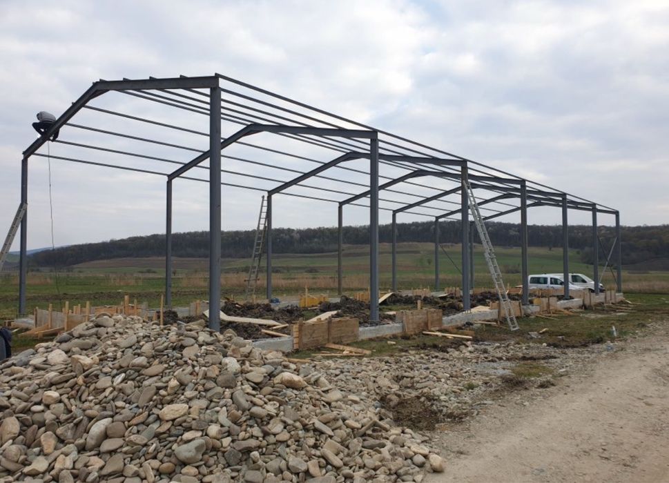 Vand structura metalica 10x20-4h