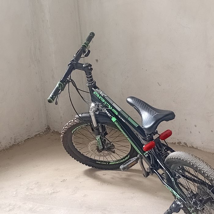 Velosped ardis holati yangi