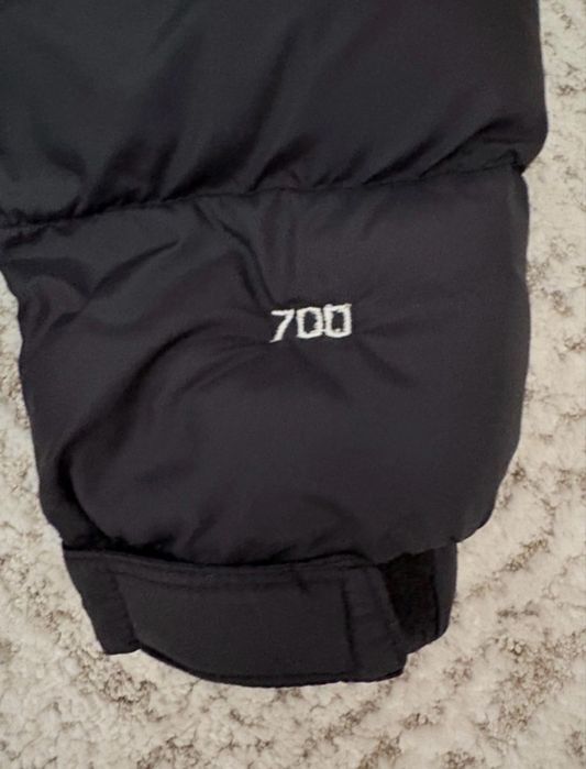 Geaca the north face