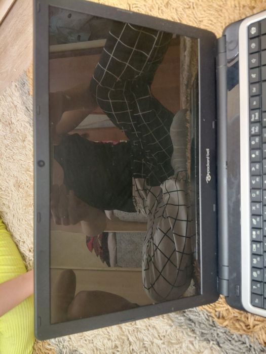 Ноутбук packard bell
