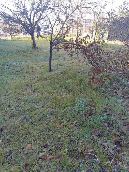 Продава се Парцел в Разград, Промишлена зона - Запад - 600 кв.м за 43 €/кв.м - Снимка #1