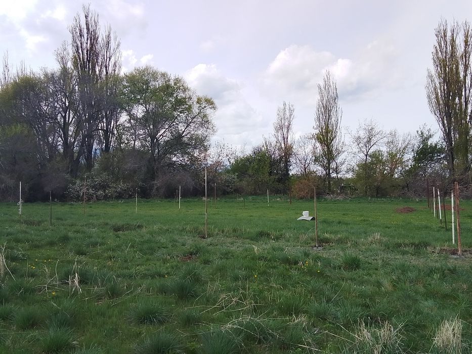 Ищу спонсора для бизнеса