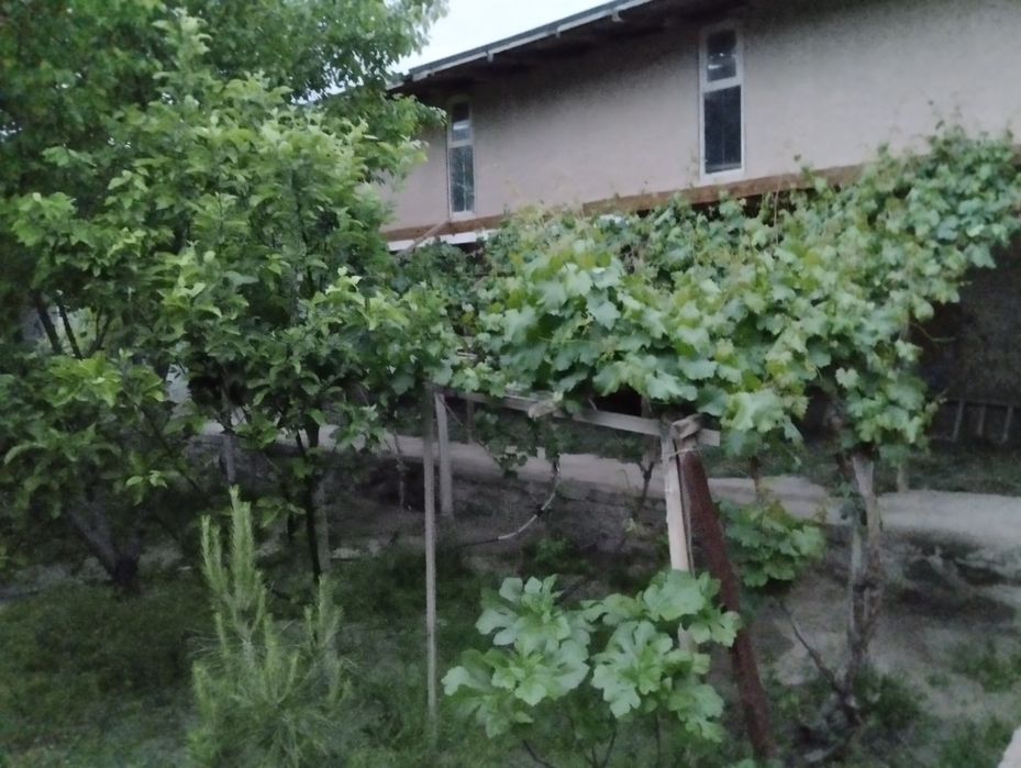 Кармана туманки Янги Хаёот МФЙ да Ховли сотилади.