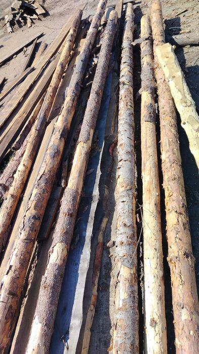 Доска Кругляк бу