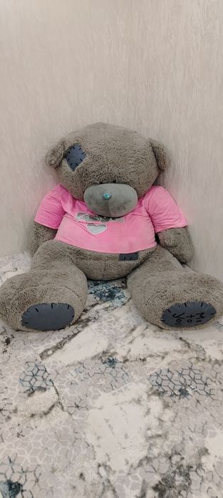 Котта ТЕДДИ сотувда буйи 2м