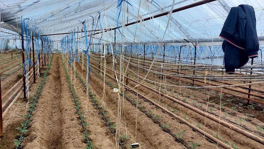 Ер сотилади 8сотох