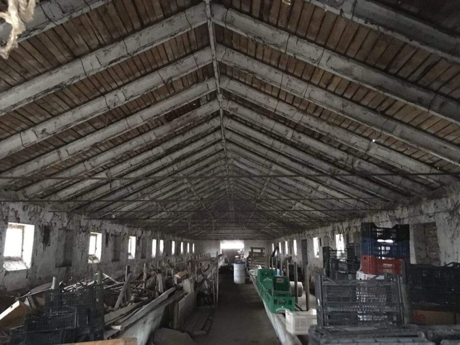 Хале/склад Под наем