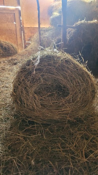 Vand baloti de fan si de ovaz