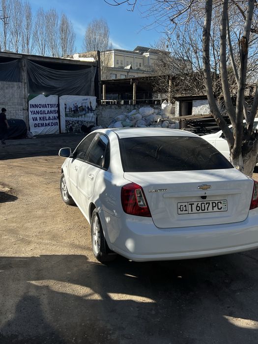 Жентра 2020 Арендага 3 поз