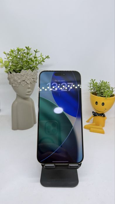 Ip 15 pro max 256 gb 77% 42090 Pintel.kz