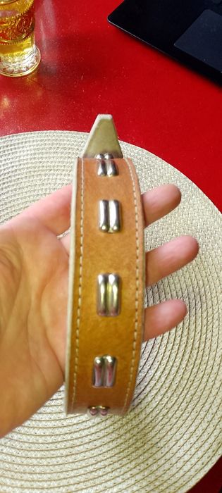 Кожаный ошейник для собаки.