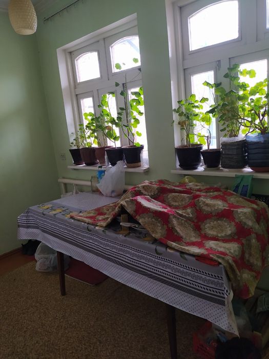 Сдадим комнату парням студентам. Studentlarni ijaraga quyamiz