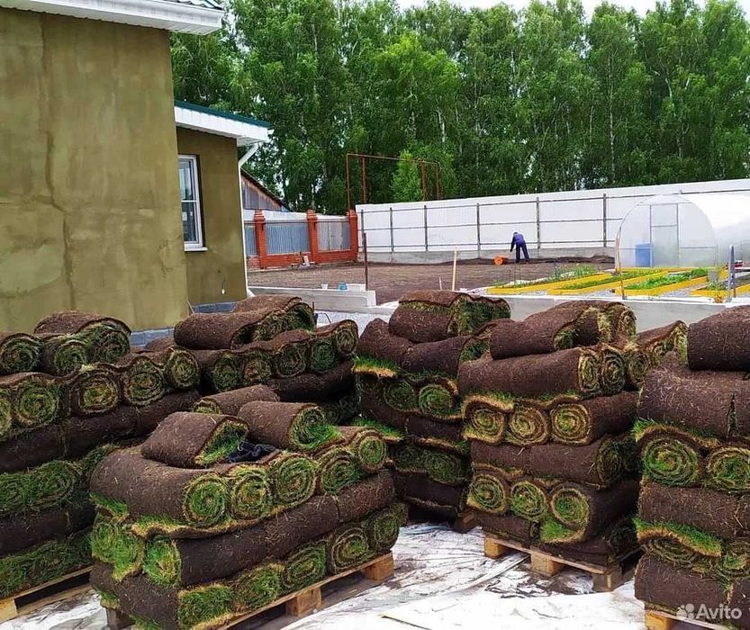 Живой рулонный газон для частного дома