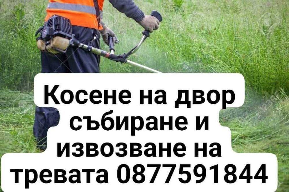 Косене  Цени по договаряне след оглед Бързо и качествено 0877591844