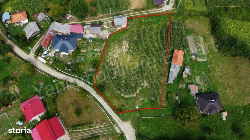 Teren de vânzare în comuna Băiculești, sat Tutana, județ Argeș.