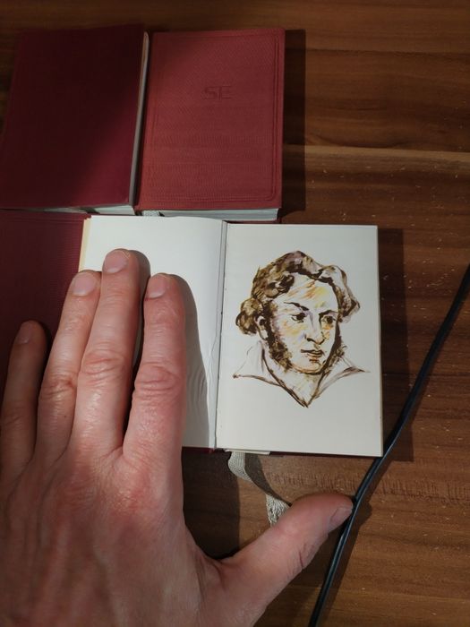 Poeți, scriitori Ruși din perioada 1800-1900, , editura 1964